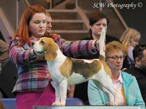 Aggie Crufts '16