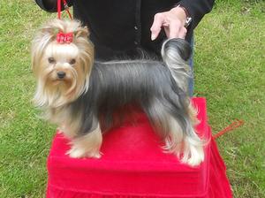 Panka at 20 months