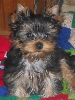 George 12 weeks