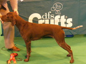 Missy 20 months old
