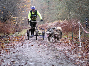 Sampson and Penny 2nd Place