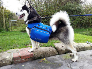 Last Bronze leg standing proud