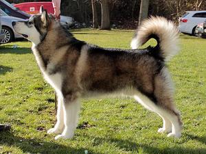 1st BPIB WPG2 7 months