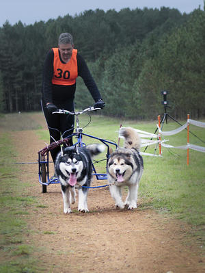 Mark, Penny & Sampson