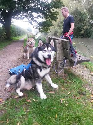 Sampson half way through a WPD leg