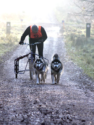 Mark, Ria & Leo AMWA FOD 2013