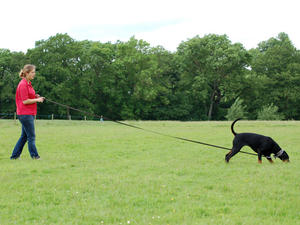 Zara Tracking