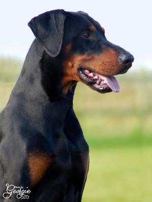 Storm @ 2 years old