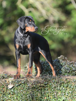 luca at 18 weeks