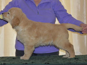Rogan at 6 weeks