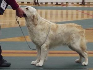 Jessie at 10 months