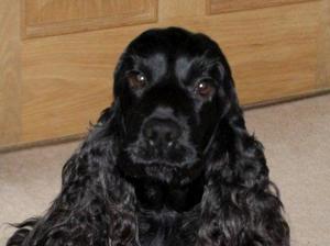 A pretty girl, the image of her mum Marnie