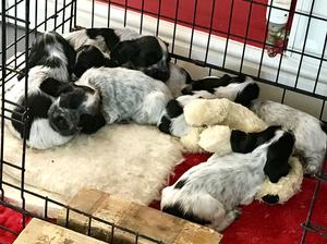 At rest
