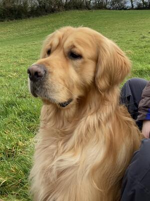 Crosby’s Son,Duke