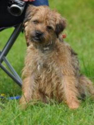 Mum, Betty as a pup herself