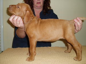 Esther - aged 6 weeks old