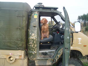 Lexci rides in style at work!