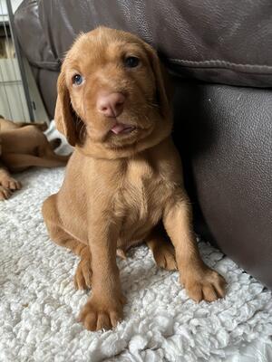 Just adorable!