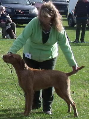 Winning in the show ring