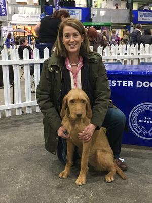 Radish at her first Championship Dog Show