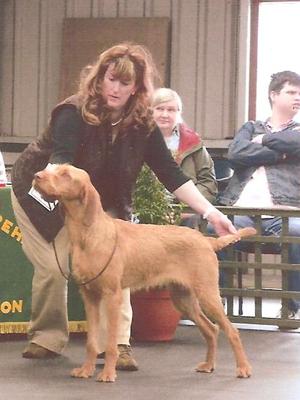 In the show ring!