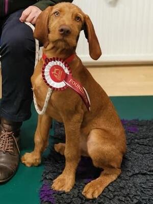 Mouse completes her puppy training