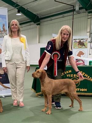 Aged 21 months and a Show Champion already!