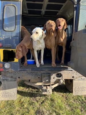 Picking up team