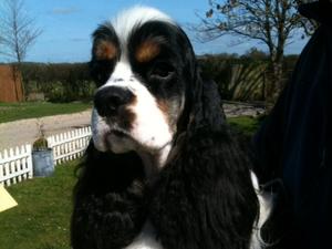 Proud father, Marley