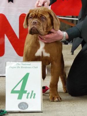 Proudia 4th Place