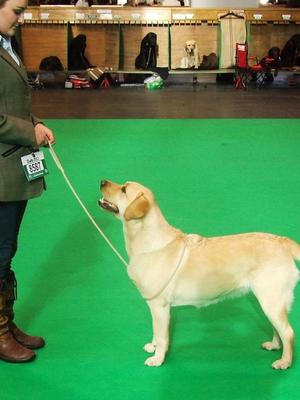 Aimee Handling Carpenny Micha AT Rossclyde