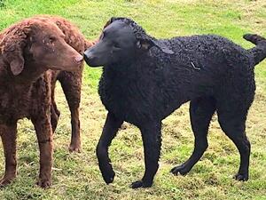 Mother and daughter