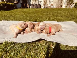 6 girls born on 1 April 2023