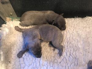 Available girls