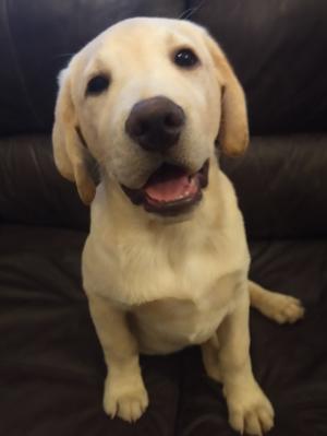 WHAT A HANSOME BOY !
