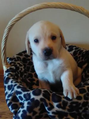 THIS HANDSOME BOY IS STILL AVAILABLE.