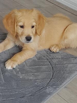 Beautiful boy remaining