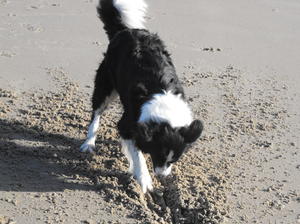 Dolce on holiday having fun