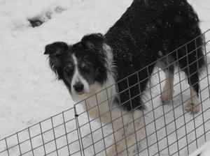 Hattie age 12 years