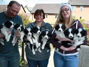 Fizzles previous litter at 5 weeks old