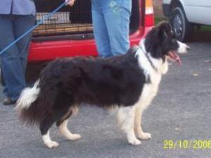 Holly at 4 years old