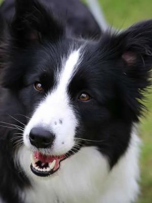 Mabel age 3 years