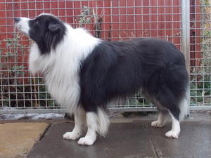 Talisman at 18mths