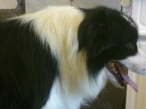 charm at 15mths