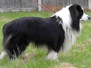 Talisman at 2 years