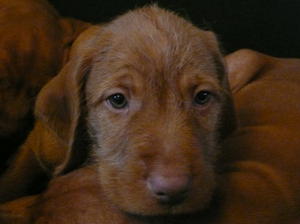 Now I am eight weeks old