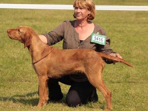 Best of Breed