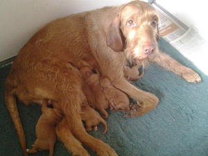 Newborns