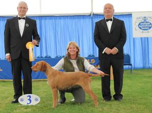Gundog group 3