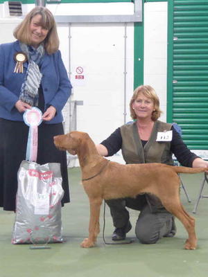 Best Puppy in Show
